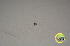 T2325